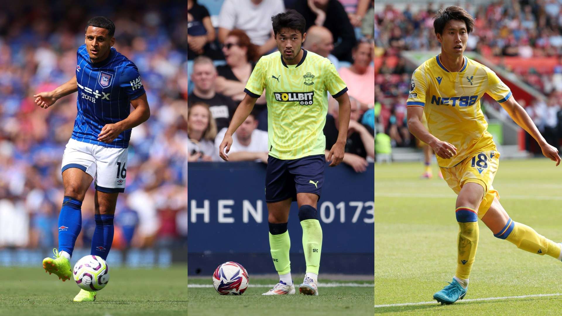 和新加入球 和新加入球