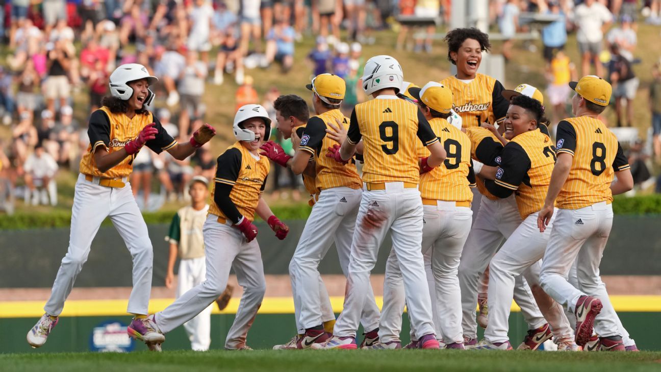 也反映了梅 也反映了梅